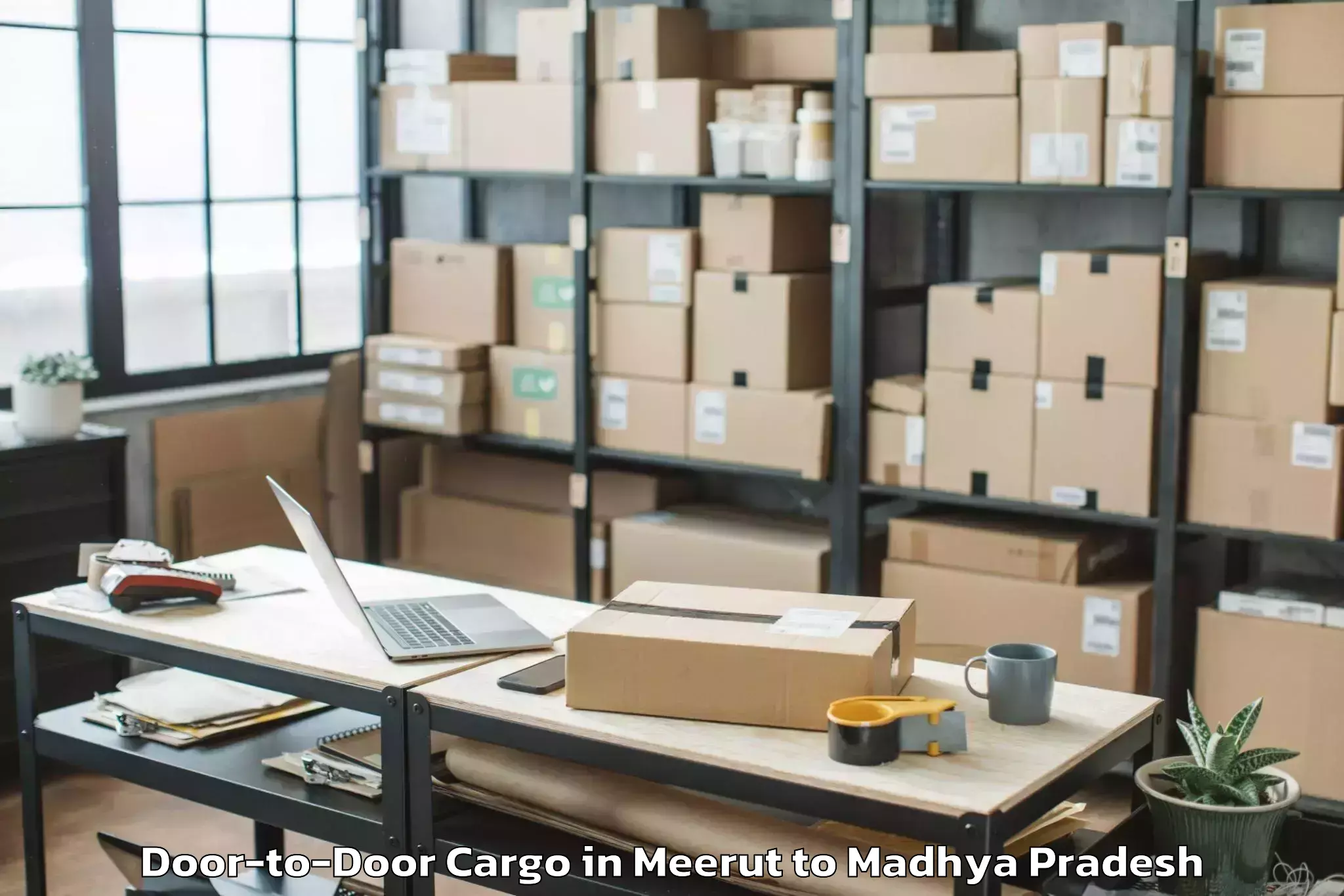 Quality Meerut to Mandleshwar Door To Door Cargo